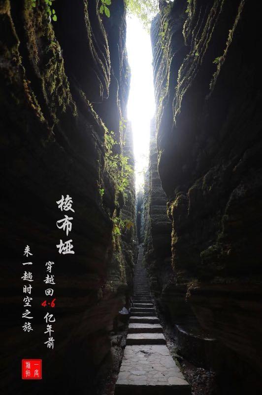 逃离违建房屋9
